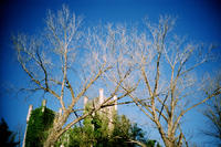 Decepción lomográfica Decepción lomográfica