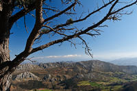 Mirador del Fito Mirador del Fito