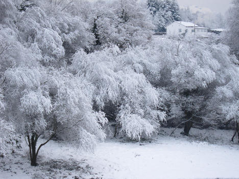 Oviedo nevado