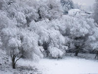 Oviedo nevado