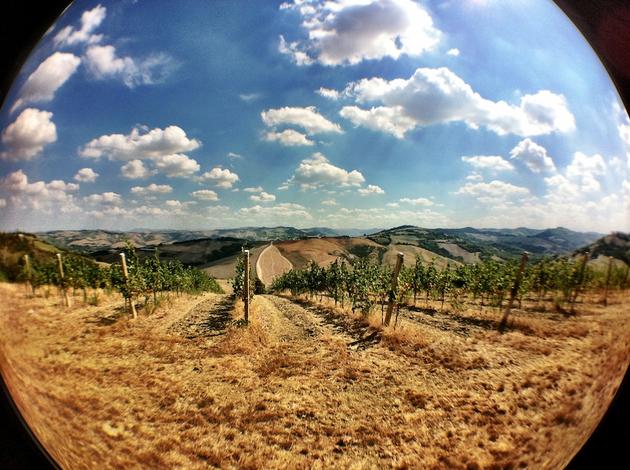 Romagna